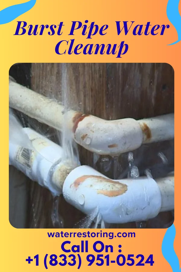 Burst Pipe Water Cleanup in Fallston, PA