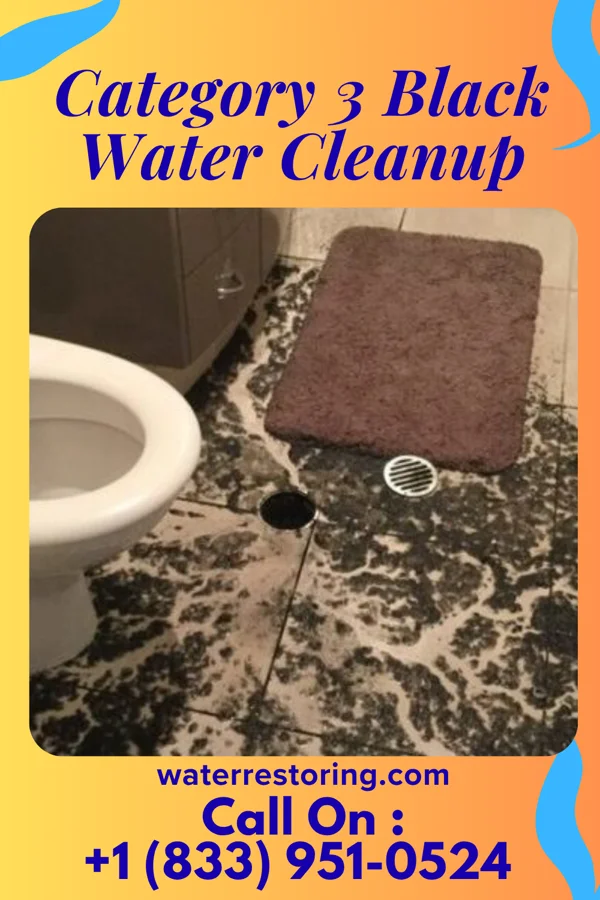 Category 3 Black Water Cleanup in Fallston, PA
