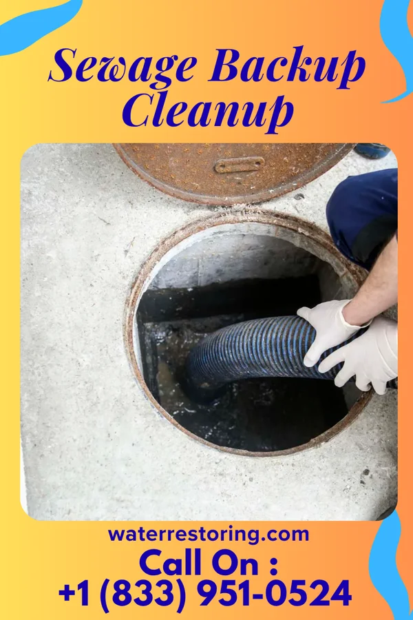 Sewage Backup Cleanup in Fallston, PA