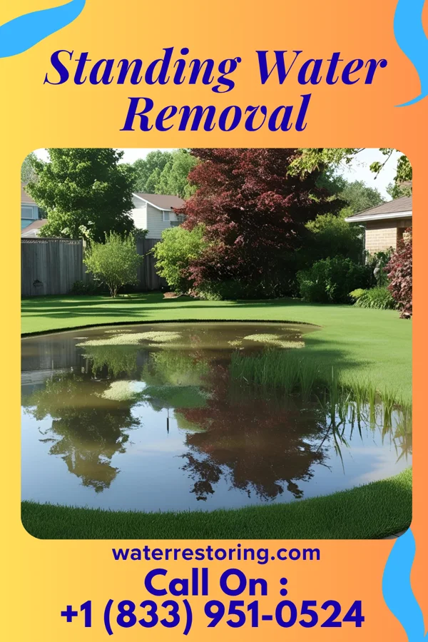 Standing Water Removal in Fallston, PA